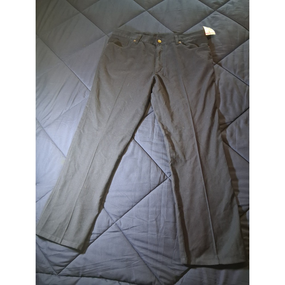 E. Zegna Mens Navy Blue 100% Wool Regular Fit Trousers Pants Size 36 5-Pocket